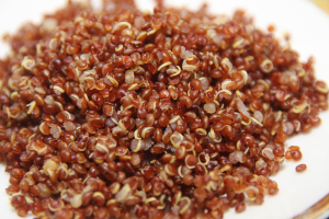 quinoa 2b