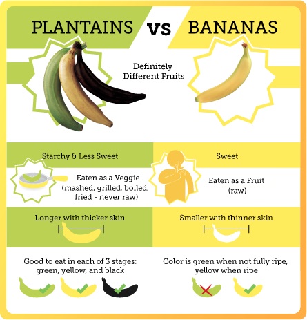 banana-v-plantain